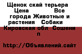 Щенок скай терьера › Цена ­ 20 000 - Все города Животные и растения » Собаки   . Кировская обл.,Сошени п.